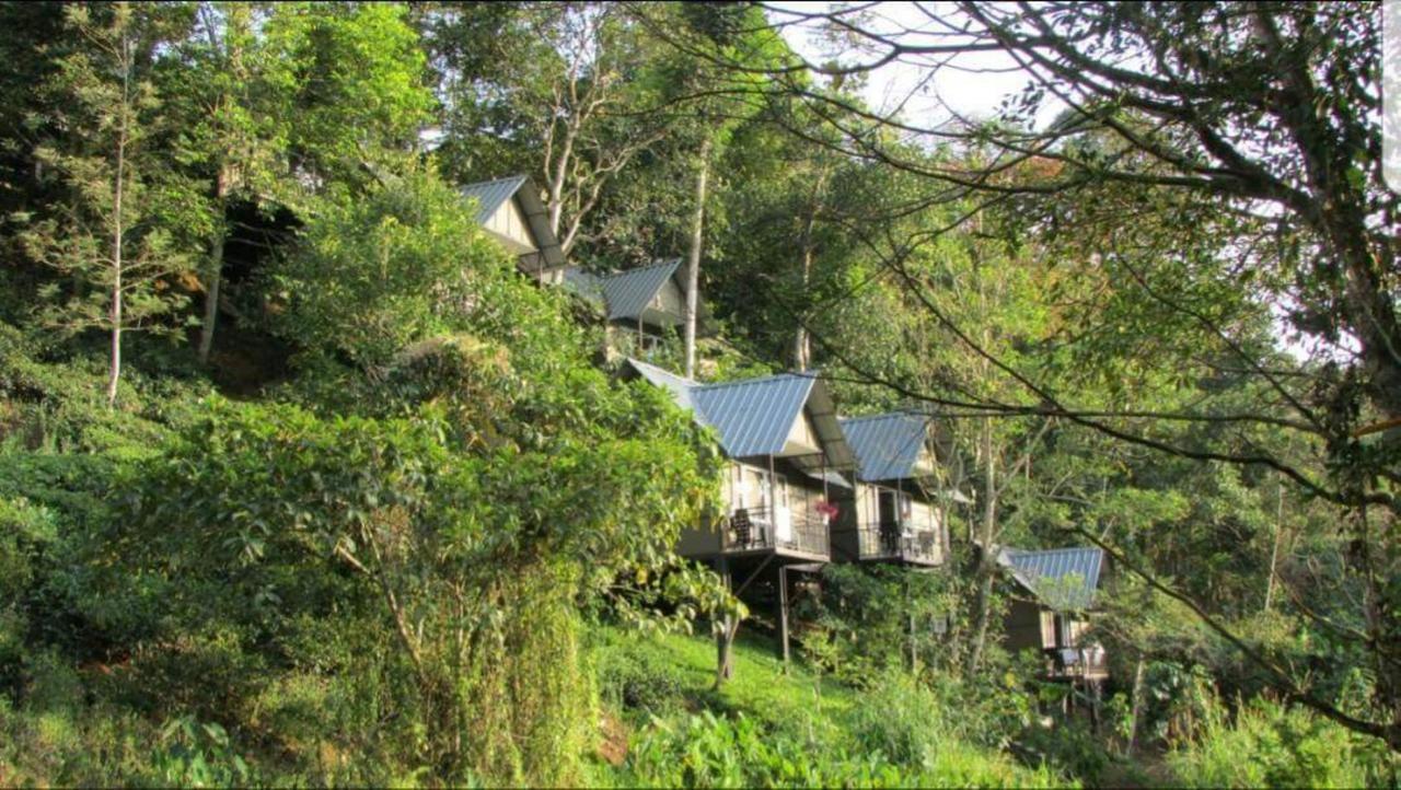 Moselberg Riverside Cottages มุนนาร์ ภายนอก รูปภาพ