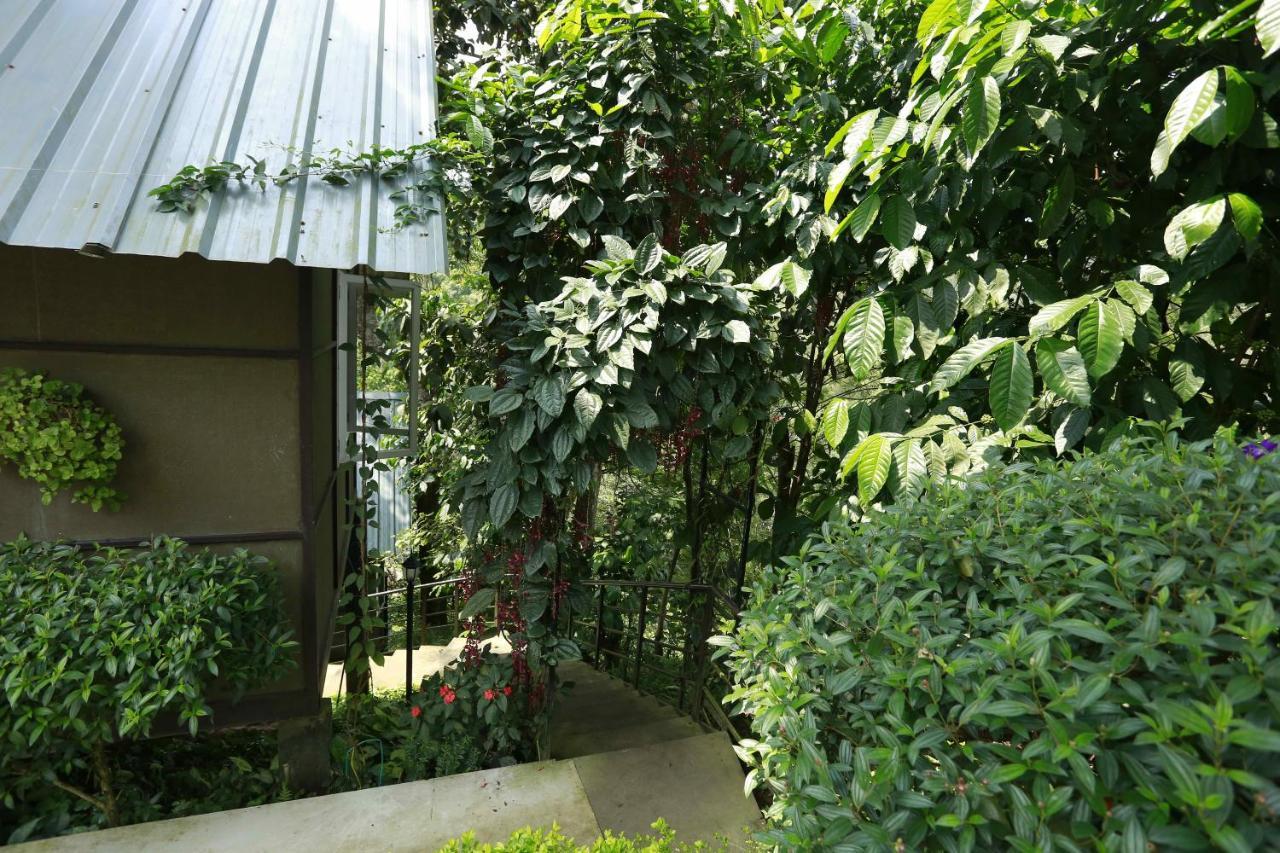 Moselberg Riverside Cottages มุนนาร์ ภายนอก รูปภาพ
